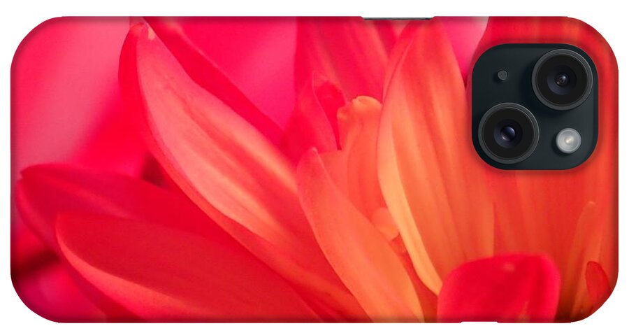 Flower iPhone Case featuring the photograph Petal Abstract by Christina Verdgeline