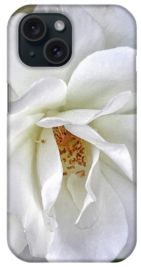 White Rose iPhone Case featuring the photograph Petal Envy by Jill Love