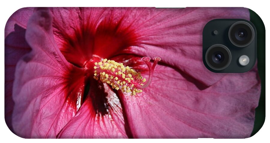 Flora iPhone Case featuring the photograph Petal-ing around by Phil Cappiali Jr