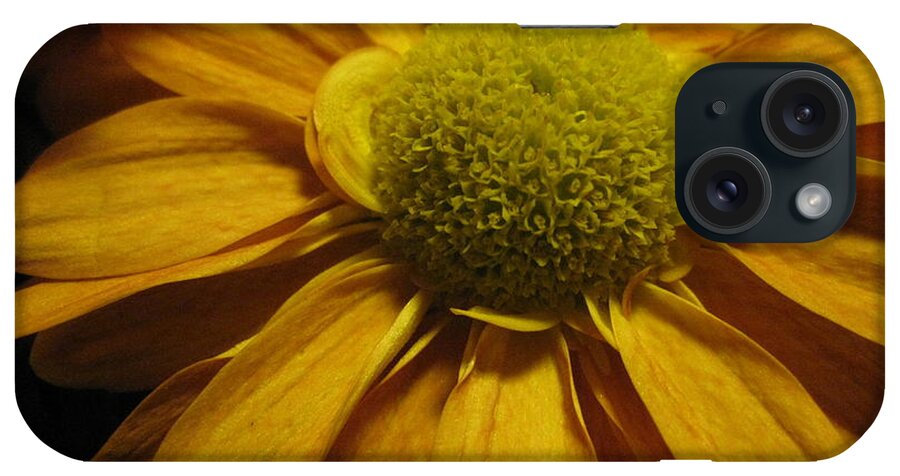 Petal iPhone Case featuring the photograph Petals of Gold by Carolyn Jacob
