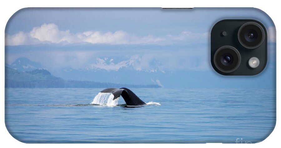 Alaska iPhone Case featuring the photograph Petersburg AK Whale Tale 6 by Louise Magno