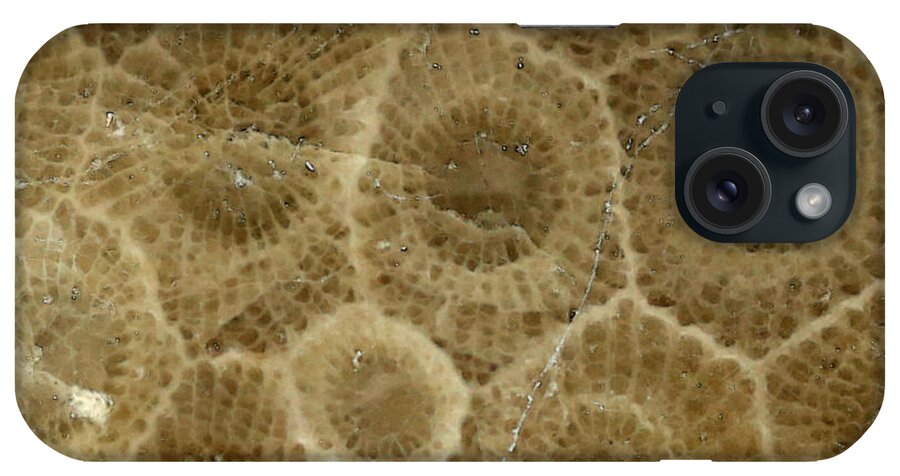 Stone iPhone Case featuring the photograph Petoskey Stone 3 by Mary Bedy