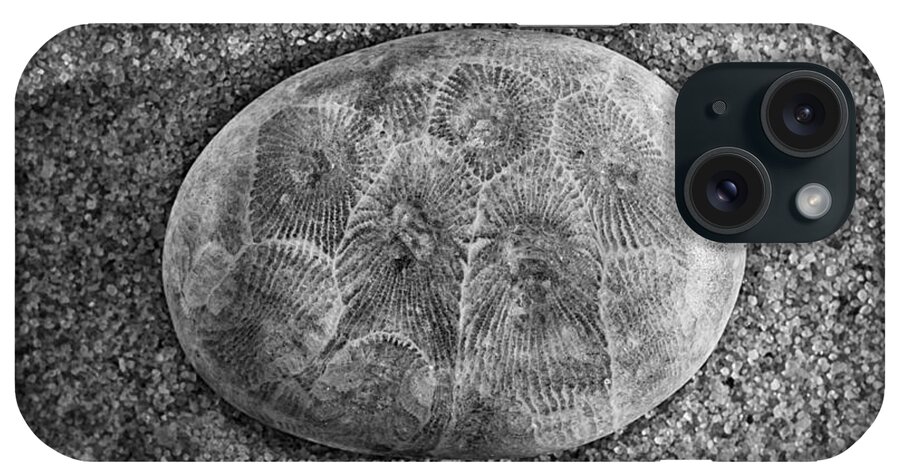 Petoskey iPhone Case featuring the photograph Petoskey Stone in Black and White by Matt Hammerstein
