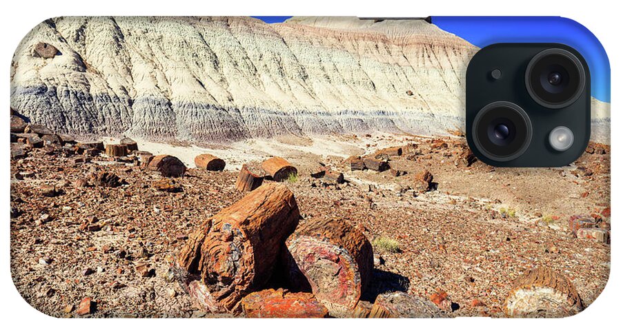Arizona iPhone Case featuring the photograph Petrified Forest II by Raul Rodriguez