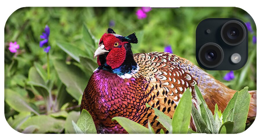 Pheasant iPhone Case featuring the photograph Pheasant by Martin Newman