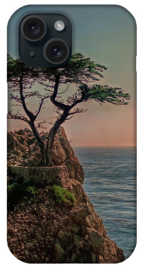 Cypress iPhone Case featuring the photograph Photogenic Tree by Hanny Heim