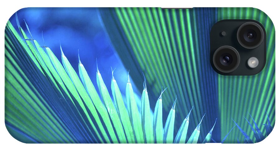 Nature iPhone Case featuring the photograph Photograph of a Royal Palm in Blue by John Harmon
