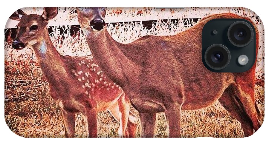 Fawn iPhone Case featuring the photograph Photoshopping My Two Favorite #deer by Austin Tuxedo Cat