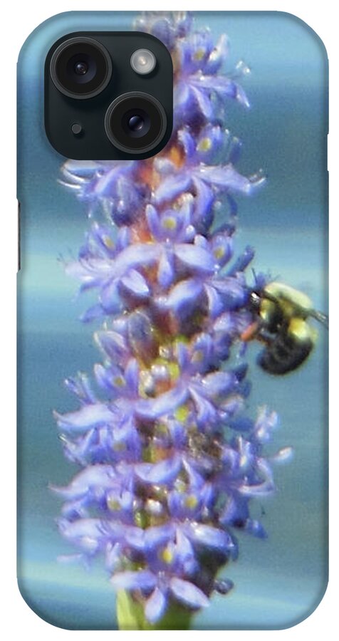 Pickerelweed iPhone Case featuring the photograph Pickerelweed Bumble Bee by Rockin Docks Deluxephotos