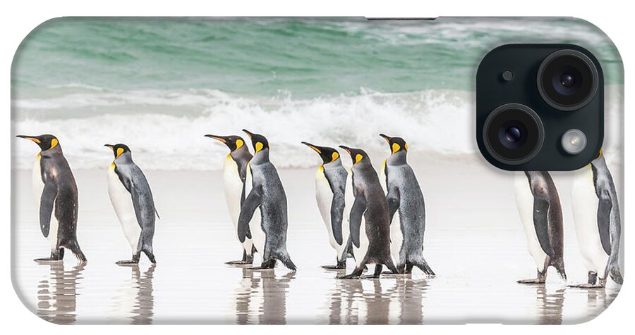 Birds iPhone Case featuring the photograph Pied piper. by Usha Peddamatham