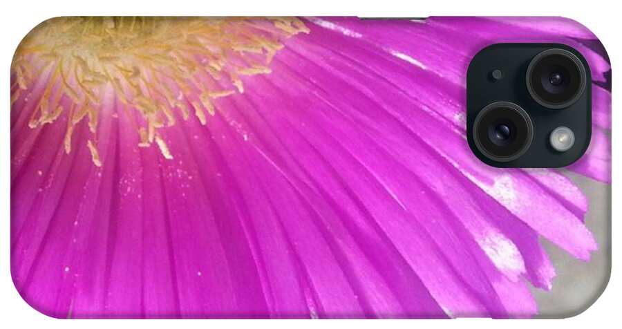 Instatassie iPhone Case featuring the photograph Pig Face Flower In Full Bloom. #nature by Tim Anderson