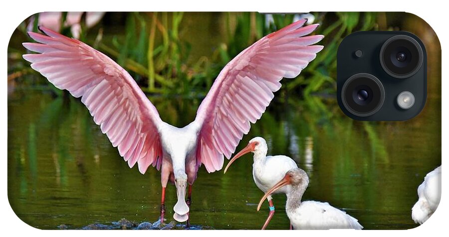 Roseate Spoonbill iPhone Case featuring the photograph Pink Angel by Julie Adair
