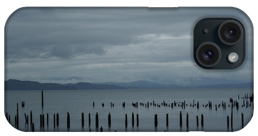 Pilings iPhone Case featuring the photograph Pilings on Columbia River by Suzanne Lorenz