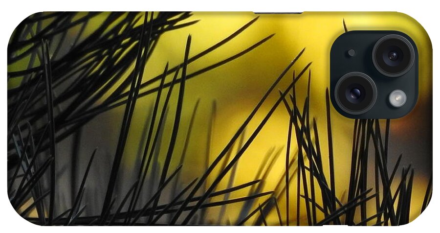 Pine iPhone Case featuring the photograph Pineview by Betty-Anne McDonald