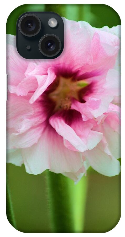 Hollyhock iPhone Case featuring the photograph Pink And Red by Bonfire Photography