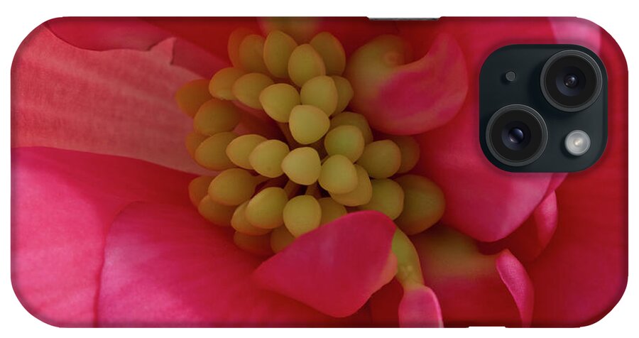 Begonia iPhone Case featuring the photograph Pink Begonia Stamen - Macro by Sandra Foster