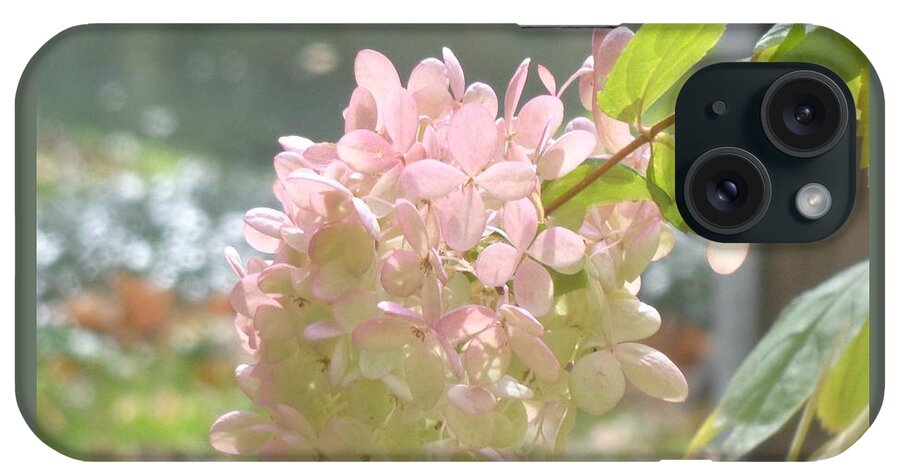 Flowers iPhone Case featuring the photograph Pink Bloom in Sun by Christina Verdgeline