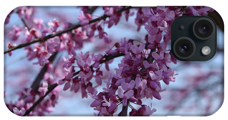 Barrieloustark iPhone Case featuring the photograph Pink Blossoms by Barrie Stark