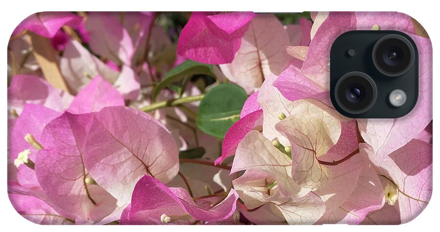 Bougenvilia Flower iPhone Case featuring the photograph Pink Bougenvilia Flower by Haleh Mahbod