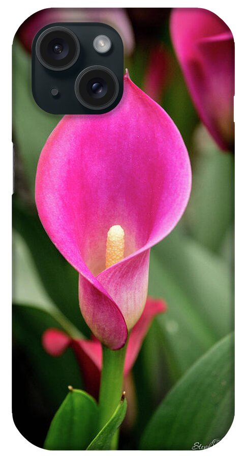 Pink iPhone Case featuring the photograph Pink Calla by Steph Gabler