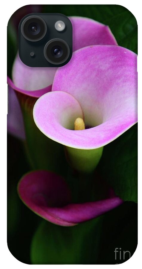 Flowers iPhone Case featuring the photograph Pink Callas by Cindy Manero