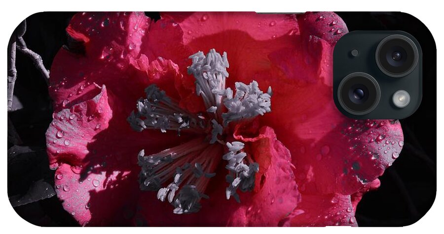 Pink Camillia And Selected Color iPhone Case featuring the photograph Pink Camillia and Selected Color by Warren Thompson