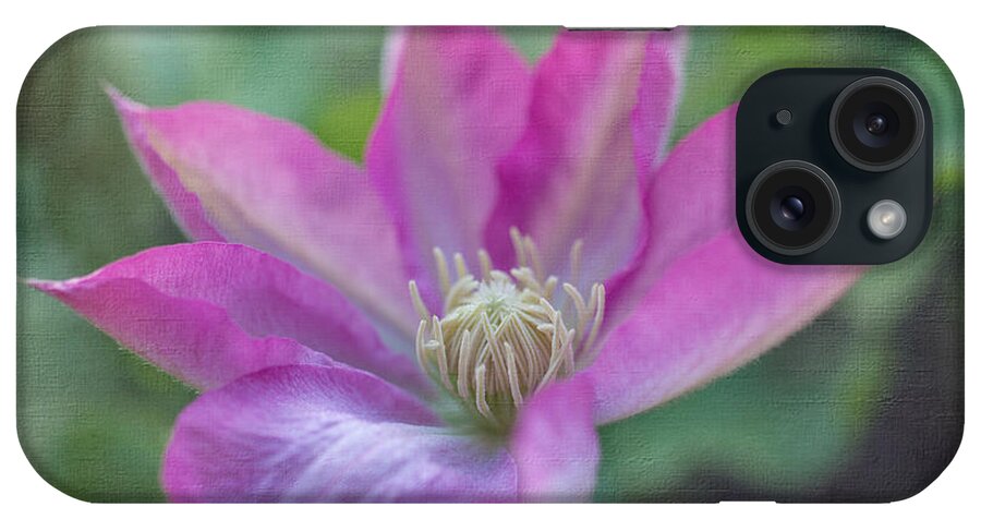 Fine Art iPhone Case featuring the photograph Pink Clematis #2 by Laurinda Bowling