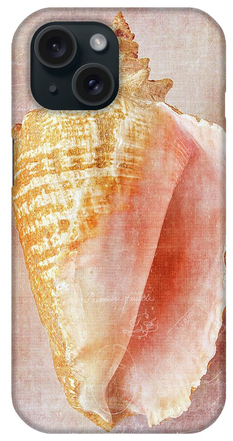 Cindi Ressler iPhone Case featuring the photograph Pink Conch by Cindi Ressler