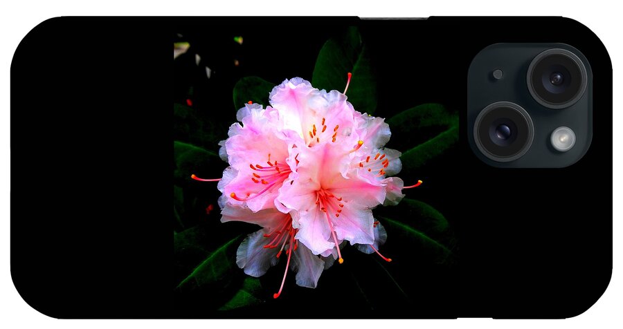 Pink iPhone Case featuring the photograph Pink Delight by Nick Kloepping
