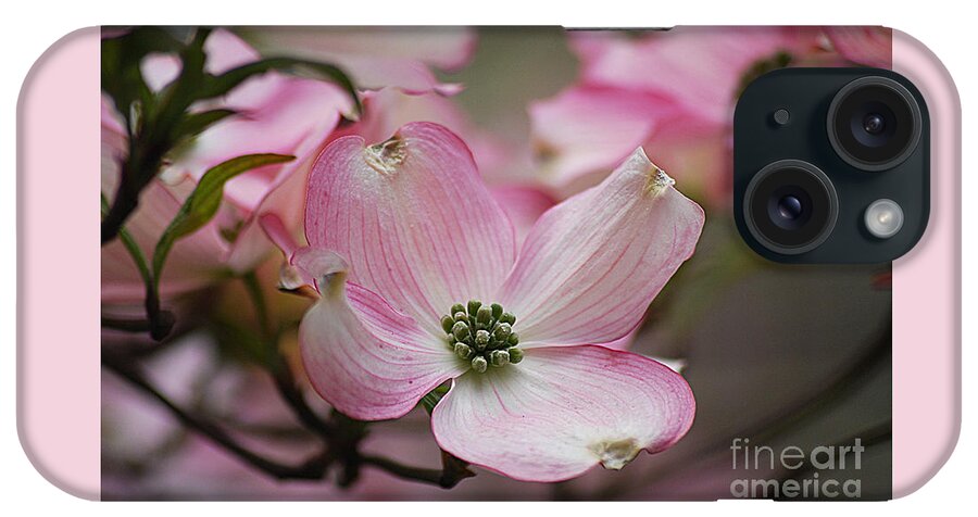 Photograph iPhone Case featuring the photograph Pink Dogwood 20120415_70a by Tina Hopkins