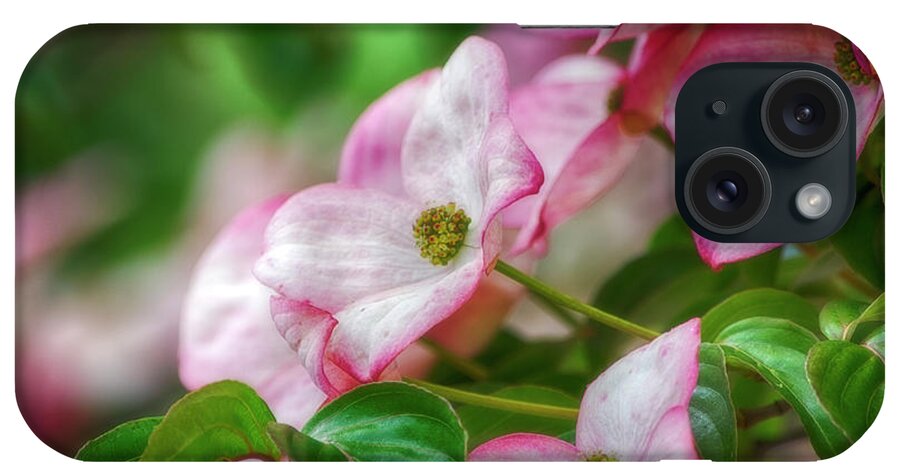 Nature iPhone Case featuring the photograph Pink Dogwood by Bonnie Bruno