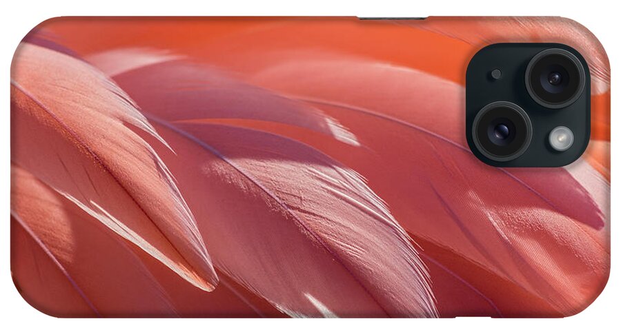 Abstract iPhone Case featuring the photograph Pink Flamingo by Holly Ross