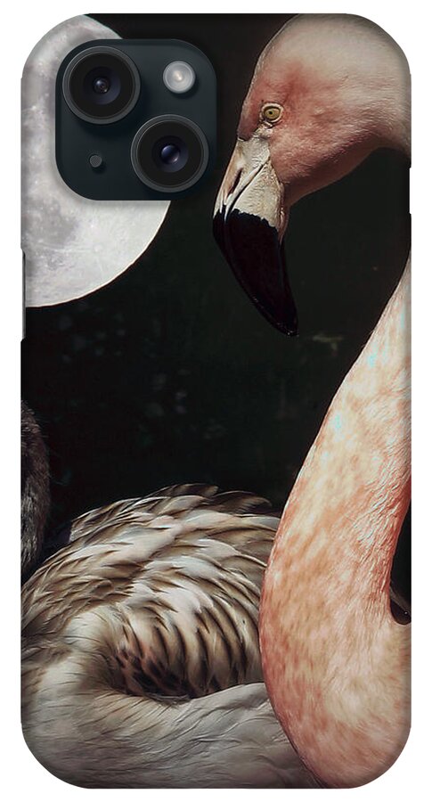 Flamingos iPhone Case featuring the photograph Pink Flamingo Moon 2 by Toma Caul
