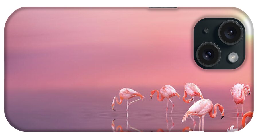 Pink Flamingos iPhone Case featuring the photograph Pink flamingos by Lilia S