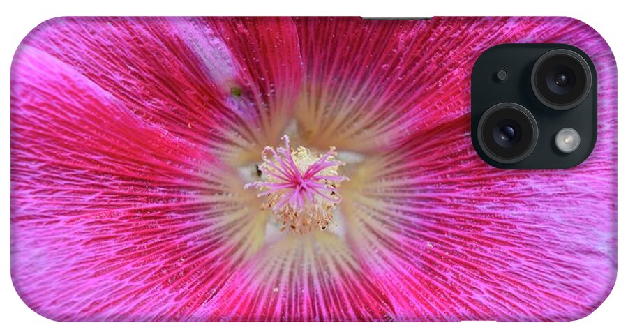 Flower iPhone Case featuring the photograph Pink Flower by Lyle Crump
