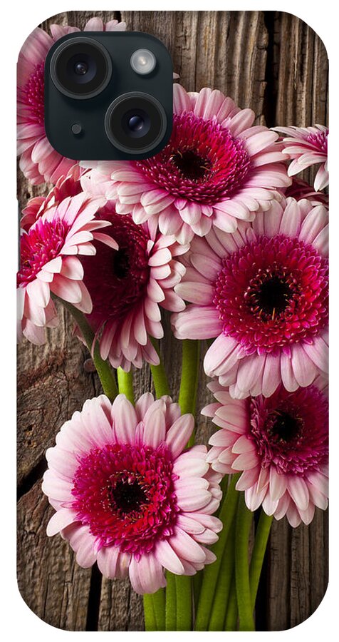 Pink Gerbera Daisies iPhone Case featuring the photograph Pink Gerbera daisies by Garry Gay