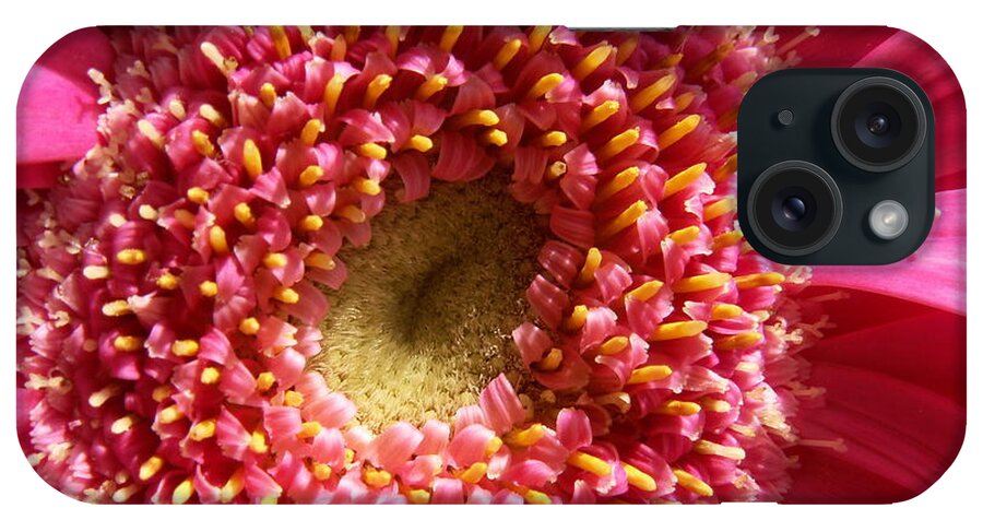 Pink iPhone Case featuring the photograph Pink Gerbera Daisy by Amy Fose