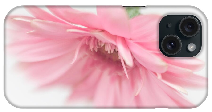 Bloom iPhone Case featuring the photograph Pink Gerbera Daisy II by David and Carol Kelly