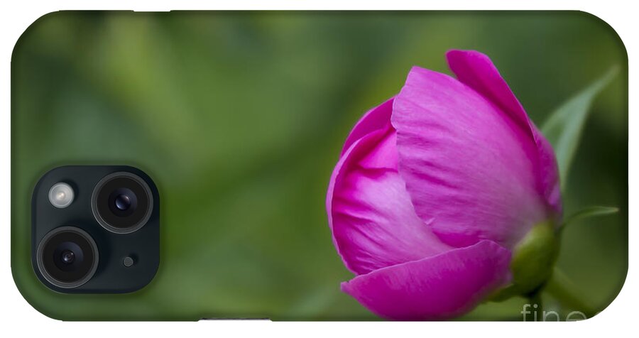 Bud iPhone Case featuring the photograph Pink Globe by Andrea Silies