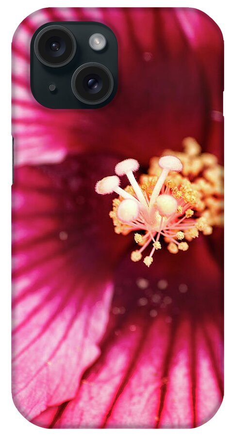 Hibiscus iPhone Case featuring the photograph Pink Hibiscus-Inside by Don Johnson