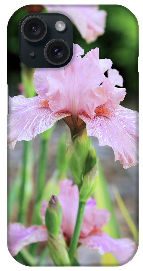 Iris iPhone Case featuring the photograph Pink Iris by Theresa Campbell