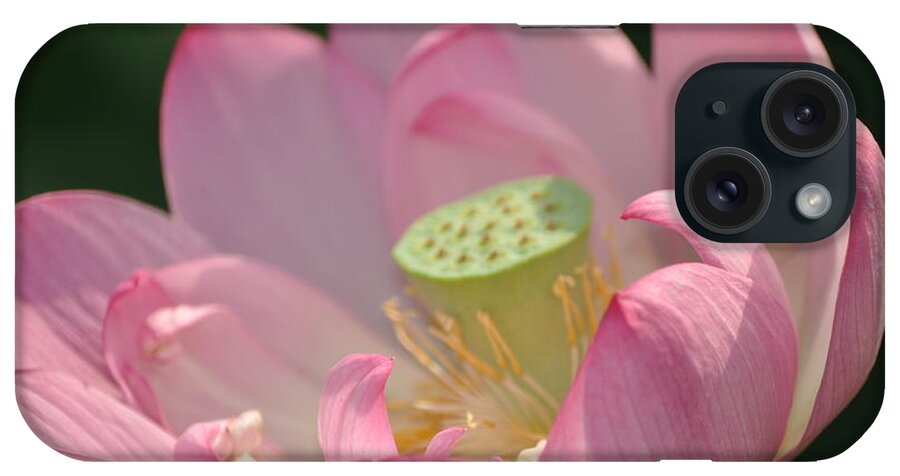 Lotus iPhone Case featuring the photograph Pink Lady by Nona Kumah