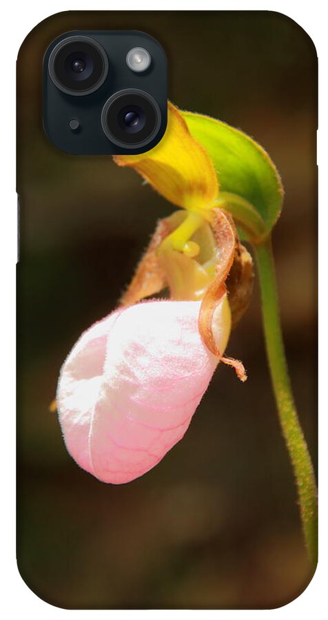 Pink Lady Slipper iPhone Case featuring the photograph Pink Lady Slipper by Roupen Baker