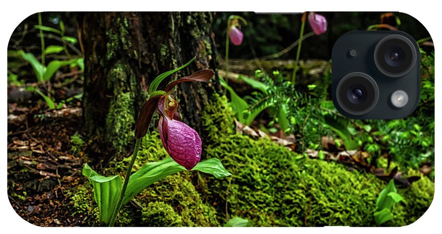 Pink Lady’s Slipper iPhone Case featuring the photograph Pink Ladys Slippers on Moss by Thomas R Fletcher