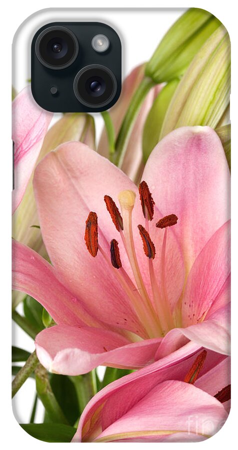 Lily iPhone Case featuring the photograph Pink Lilies 07 by Nailia Schwarz