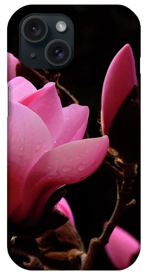 Alex Lyubar iPhone Case featuring the photograph Pink Magnolia by Alex Lyubar