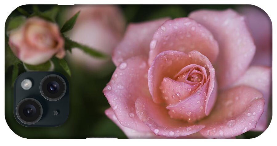 Beautiful Photos iPhone Case featuring the photograph Pink Miniature Roses 3 by Roger Snyder