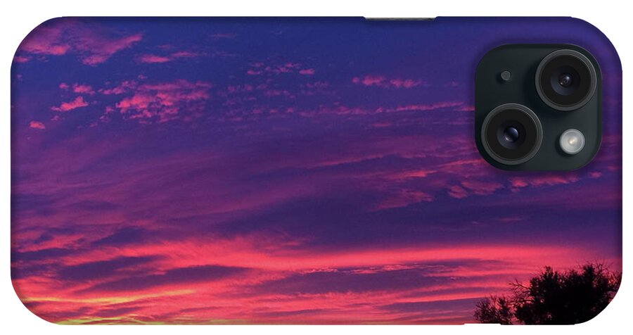 Pink iPhone Case featuring the photograph Pink On Blue by Trent Mallett