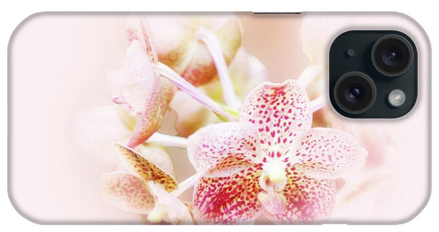 Flower iPhone Case featuring the photograph Pink Orchid by Joseph Hollingsworth