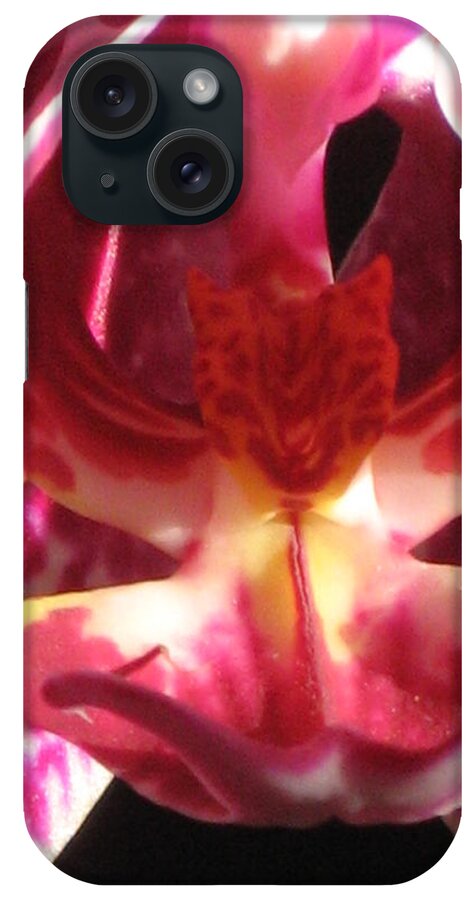 Orchid iPhone Case featuring the photograph Pink Orchid Macro by Alfred Ng
